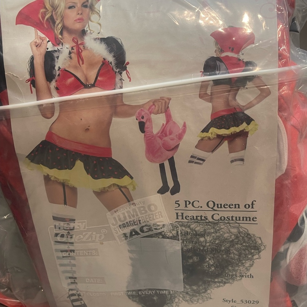 Queen of Hearts Kids Costume - Red and Black